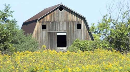 盤點(diǎn)世界各地囧囧可愛(ài)的建筑神作