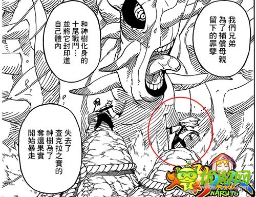 漫迷們?nèi)f眾期待的手游 《火影大人》新忍者預(yù)測(cè)