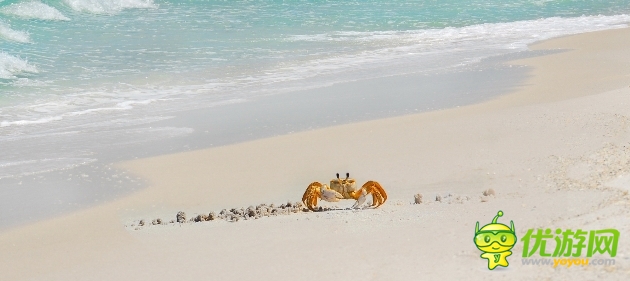 2014年手游IP爭(zhēng)奪 吃第一口螃蟹的會(huì)是誰(shuí)?