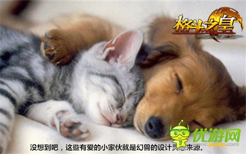 從無(wú)到有 力超拳皇 制作人談《格斗之皇》