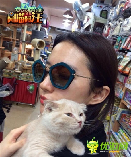 貓狗大對決《阿喵阿汪》明星聲援團(tuán)