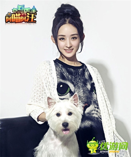 貓狗大對決《阿喵阿汪》明星聲援團(tuán)