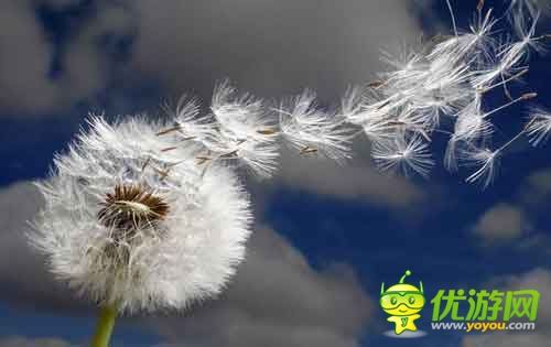 手游用戶體驗(yàn)到底是什么？