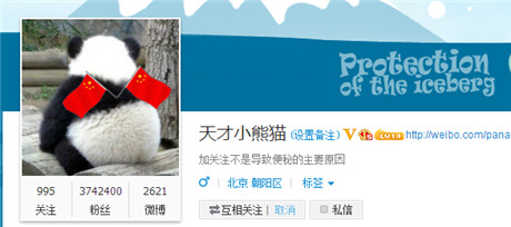 特別八卦：揭露天才小熊貓和嘟嘟海的私情