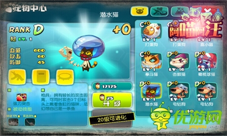 《阿喵阿汪》耍寶搞笑戰(zhàn)斗寵物大起底(三)