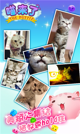 喵新人賣萌大賽《喵來了》代言人征選開啟