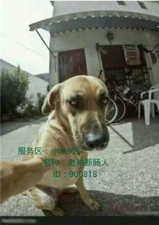 歡樂GO!《天天掛機》玩家曬標(biāo)志性建筑