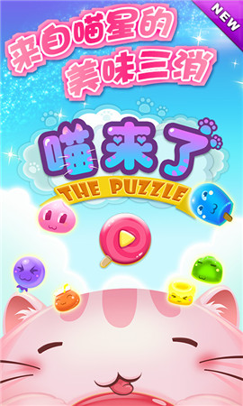 喵星人的賣萌生活《喵來了》有愛大揭秘