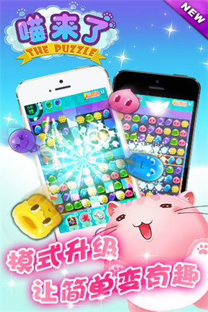 喵星人的賣萌生活《喵來了》有愛大揭秘