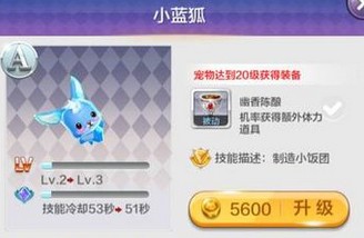 天天風(fēng)之旅新手前期最強裝備攻略