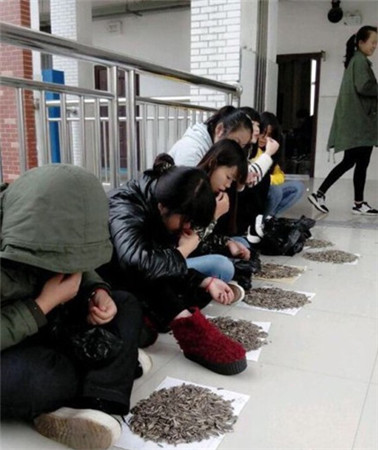 任性的懲罰《火影大人》尋找真正和平忍道