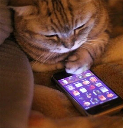 不夠冷就不夠酷!歷數(shù)以冰雪為背景的凍人手游