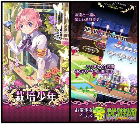 種下種子變美男《栽培少年》現(xiàn)已登陸雙平臺